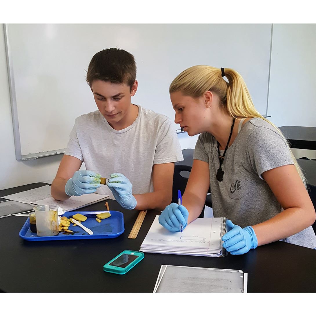  students in the lab